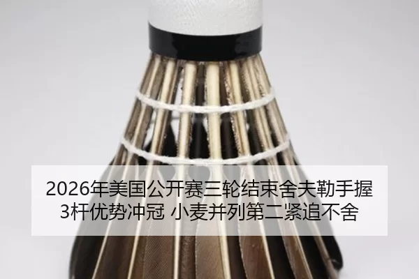 nian-mei-guo-gong-kai-sai-san-lun-jie-shu-she-fu-lei-shou-wo-gan-you-shi-chong-guan-xiao-mai-bing-lie-di-er-jin-zhui-bu-2-493.jpg